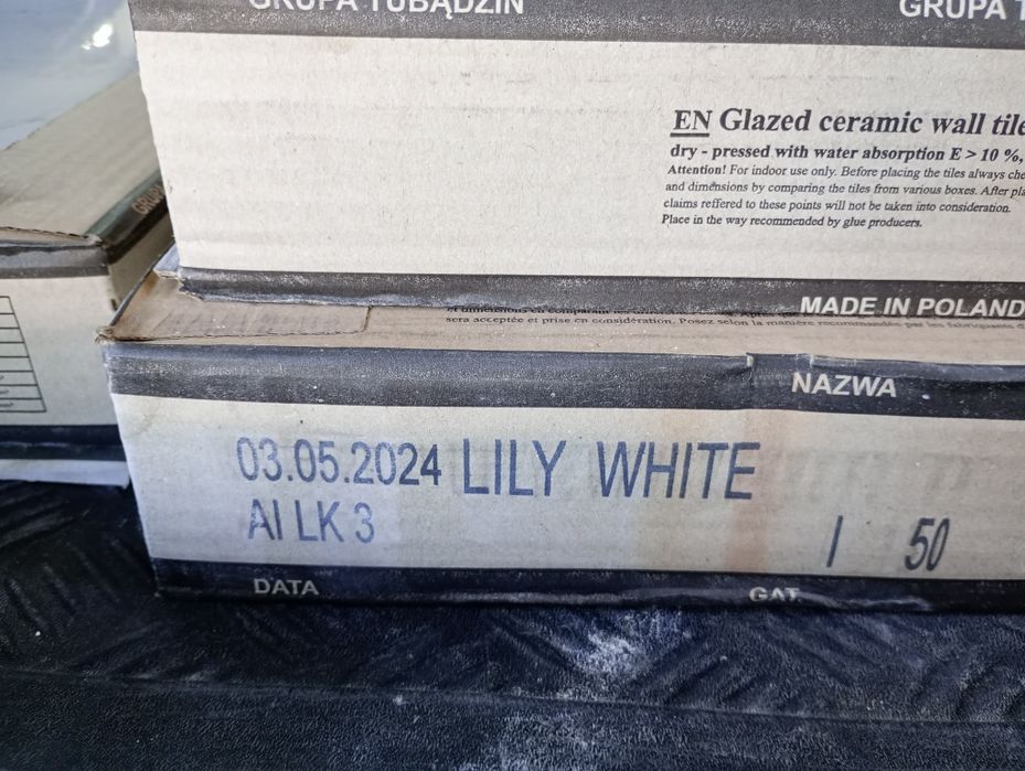 Płytki Lili white 60x30