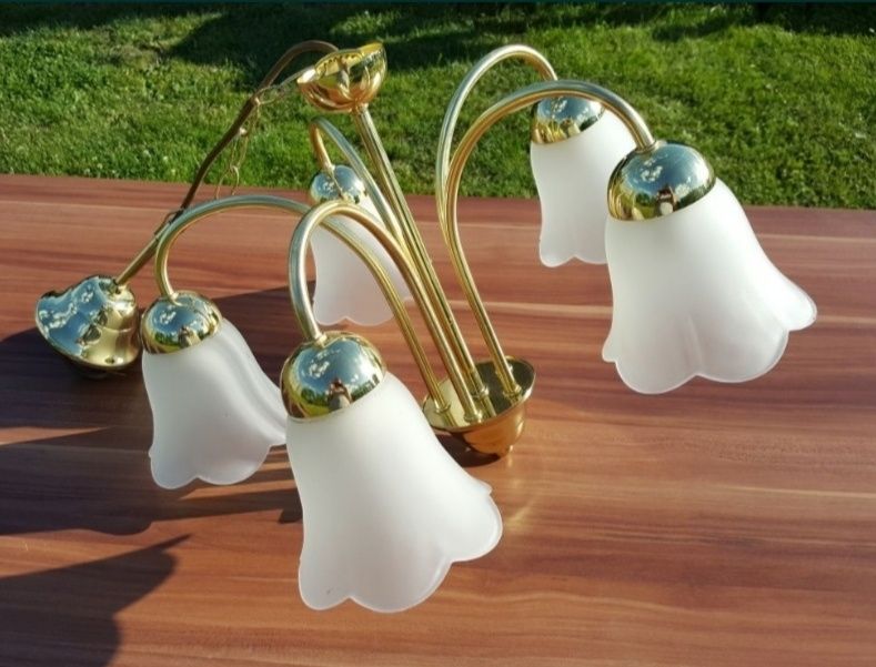 Piękny złoty żyrandol szklany lampa sufitowa szklana 5 kloszy