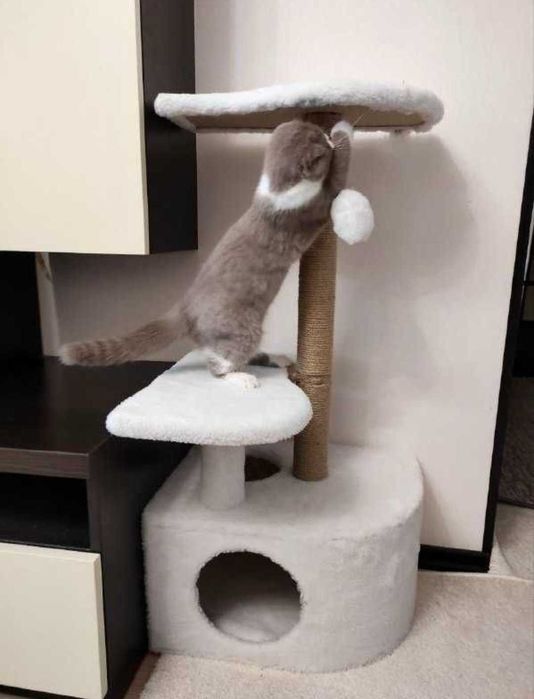 Домик- когтеточка