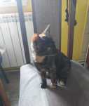 Oddam w dobre rence