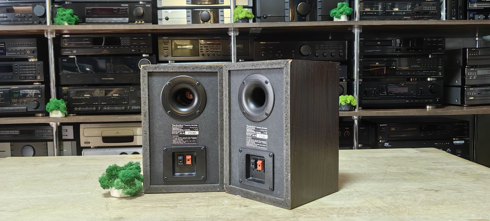 2-х полосна акустика Technics SB-HD50A/6Ω