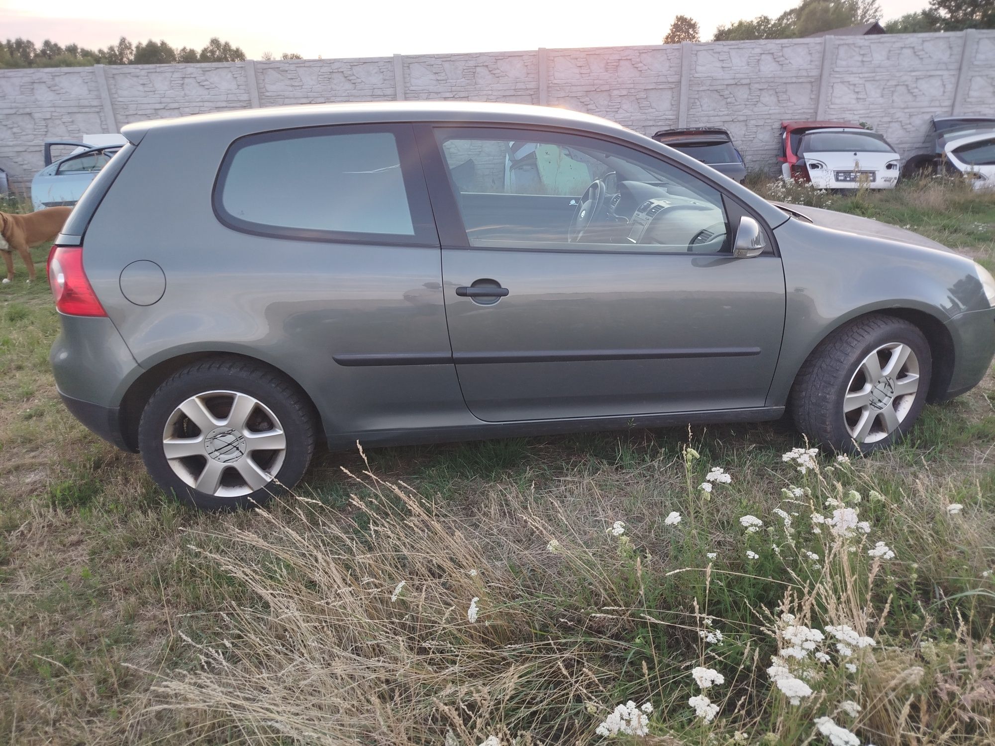 Volkswagen Golf V 1.4fsi bkg na części