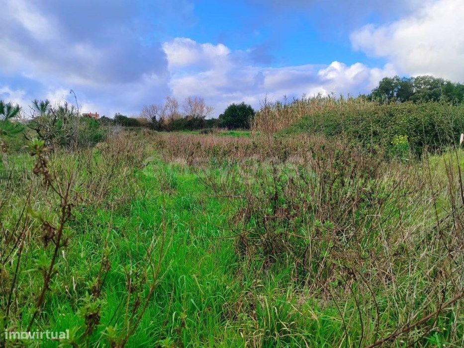 Terreno com cerca de 1500m², localizado na vila de Pataias