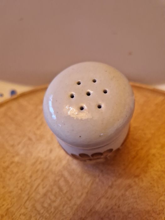 Solniczka Włocławek