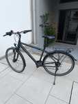 Bicicleta Trekking Kalkhoff