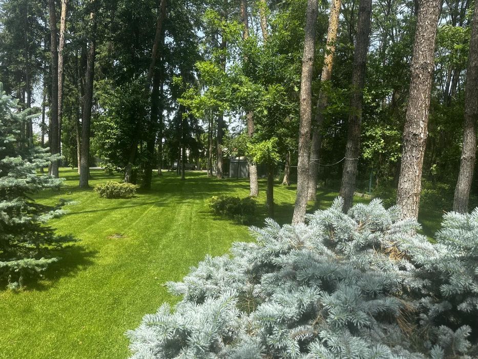 Оренда будинку 37 соток Тарасівка Козин Романків Старі Безрадичі