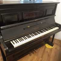 arnold fibiger pianino