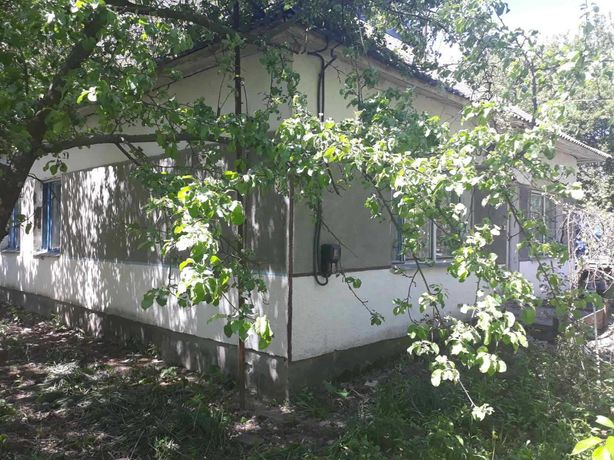 Продам будинок в селі Осівці Брусилівського району.