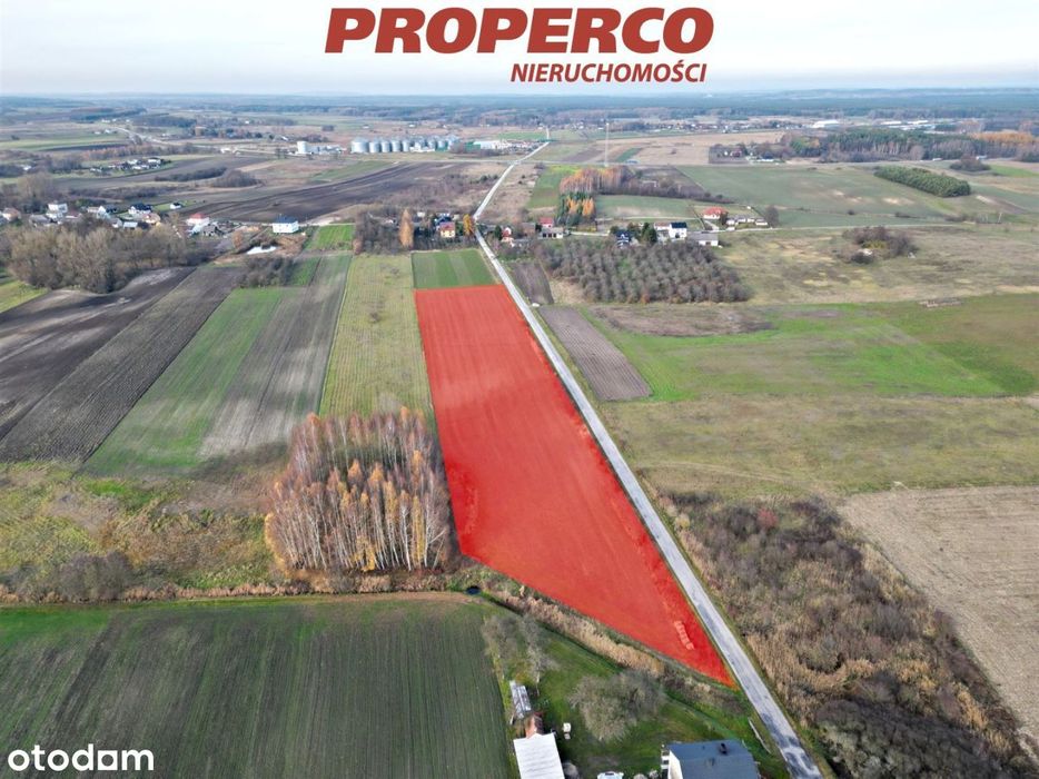 Działki o pow. 22500 m2, Samostrzałów, gm. Kije