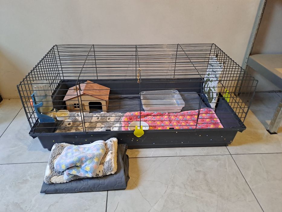 Klatka dla świnki morskiej 100x55x42