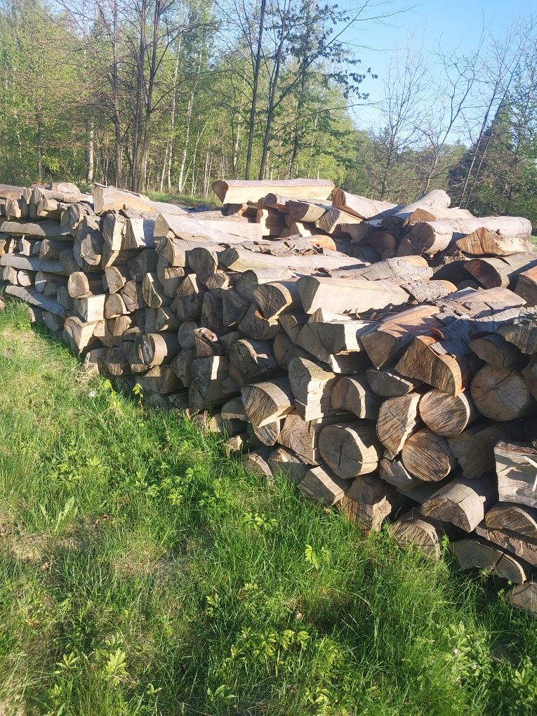 Drewno opałowe buk sezonowane