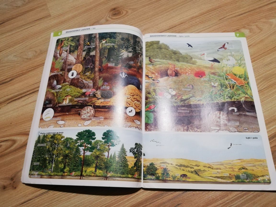 Atlas przyroda, Świat wokół nas