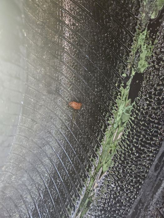 Opona 255/60 R18 Pirelli Scorpion All Terrain