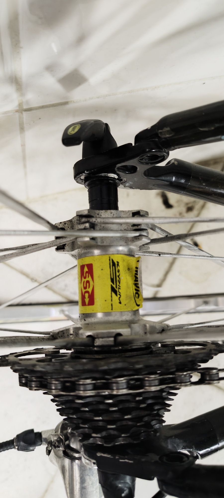 Orbea Orca Carbono 56 L