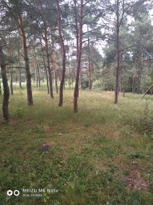 Земельна ділянка 1 га в місті Гайсин, земля Вінницька область участок
