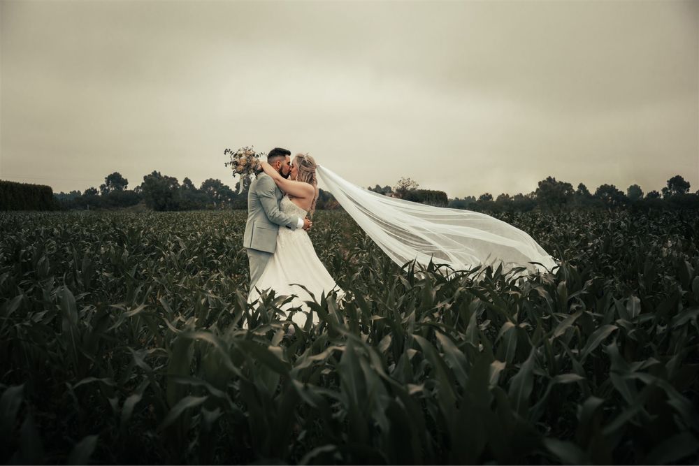 Fotografo de Casamento