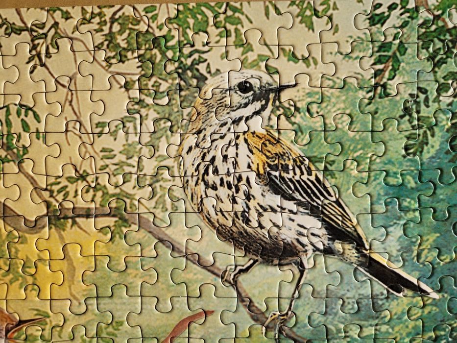 Otter House 1000, Nature Reserve nr 75805, zimorodek, kaczki, jezoro