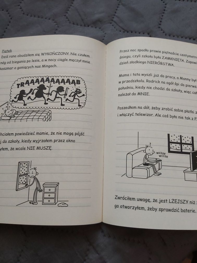 Dziennik cwaniaczka