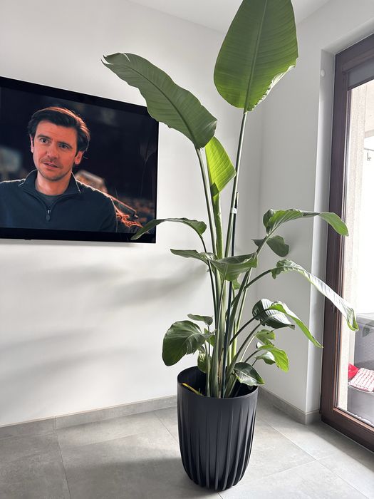 Donice czarne x 3 szt (cena za wszystkie 3)