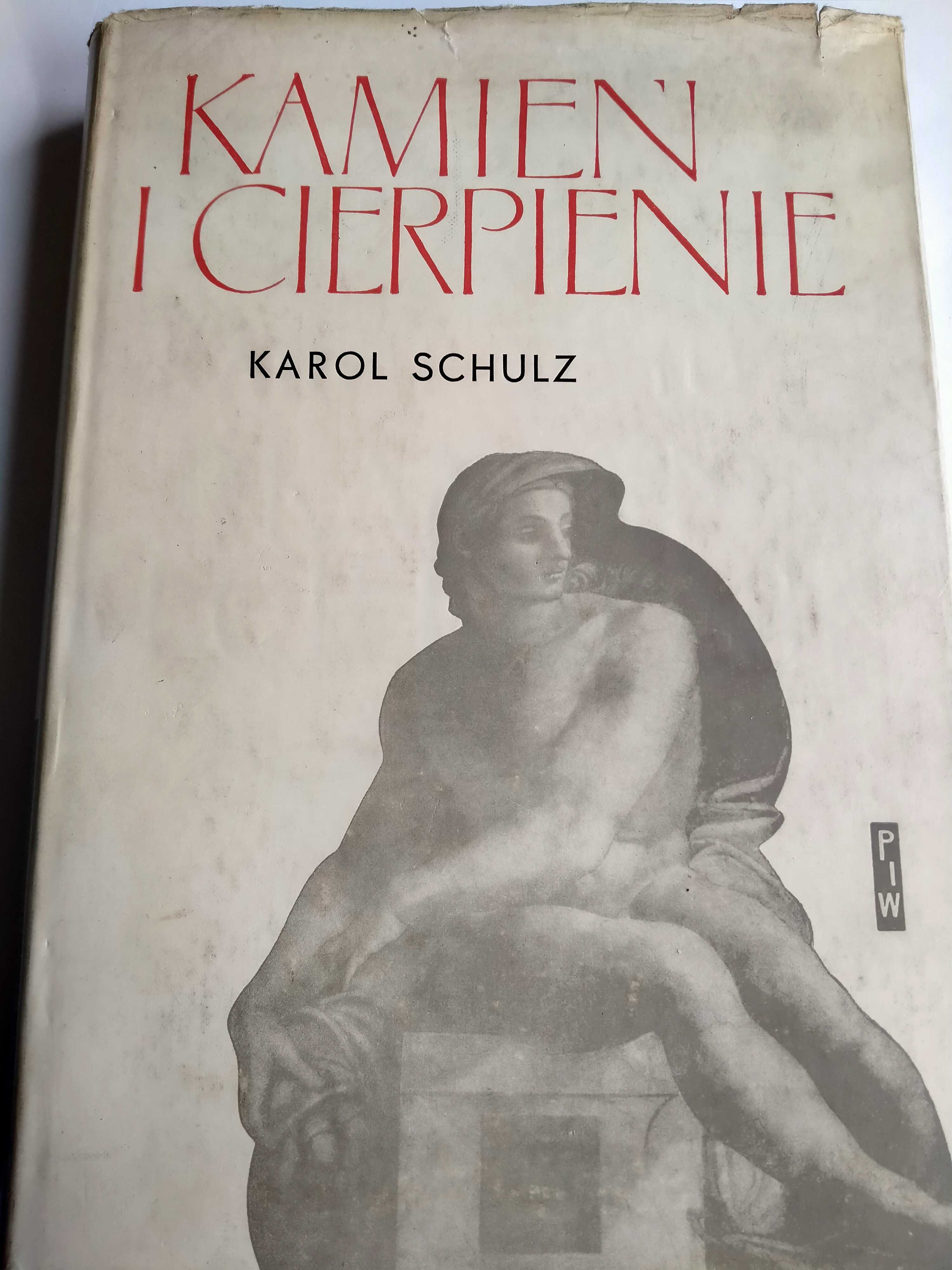 Kamień i cierpienie - Karol Schulz
