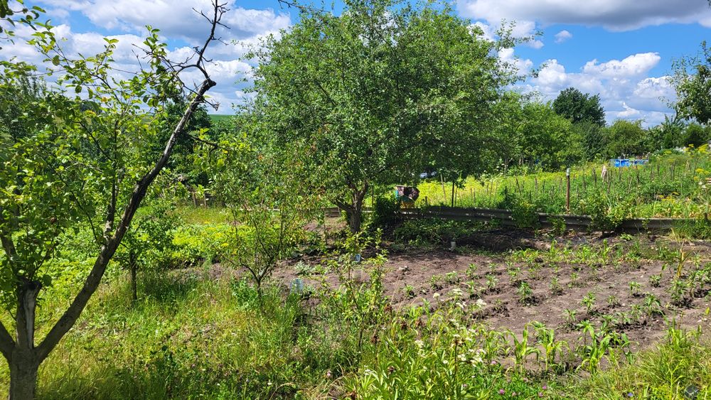 Продаж дачної ділянки