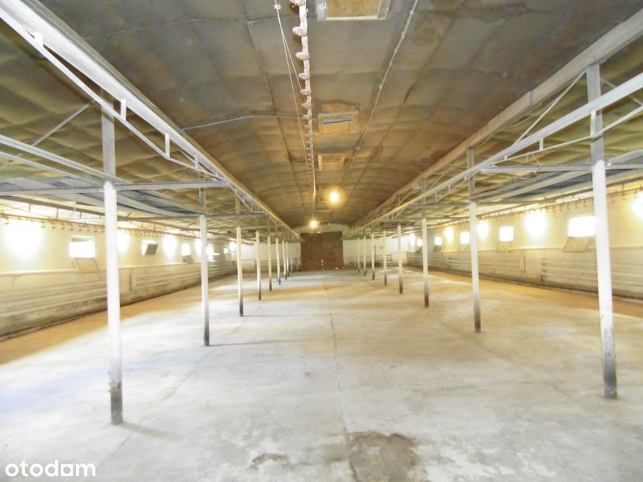 Hala ogrzewana blisko Dk20