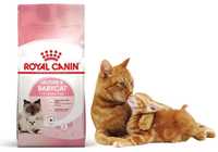 Сухой корм для котят Royal Canin Babycat 2кг, 10кг! Роял Бэбикет!