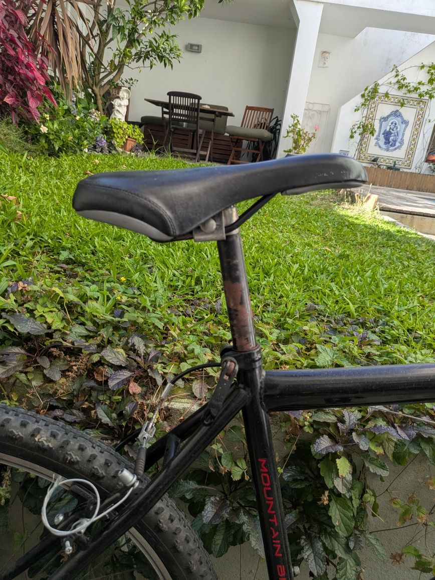 Bicicleta Indur Mountain Bike