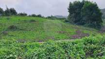 Terreno  para venda
