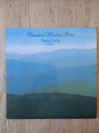 Vinil LP, Woodstock Mountains Revue - Pretty Lucky