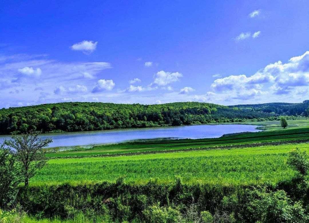 Земельна ділянка в Радові