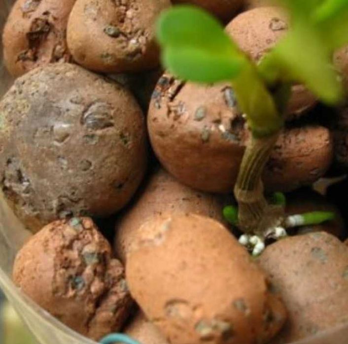 Sacos de Leca argila expandida (70 litros)
