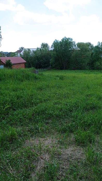 Будинок + пів гектара чорнозема