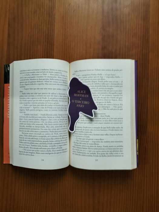 Livro o terceiro anjo de Alice hoffman