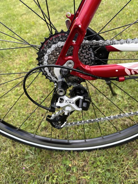 Rower bulls kola 28”