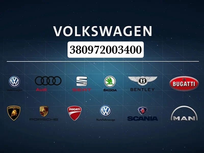 Виїзна діагностика Авто групи ваг