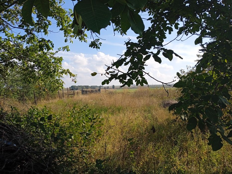 Продам участок 10 соток