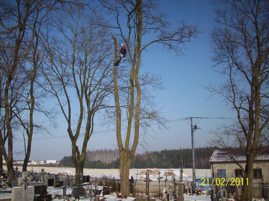 Wycinka drzew, usługi rębakiem, korekty drzew, zrębkowanie