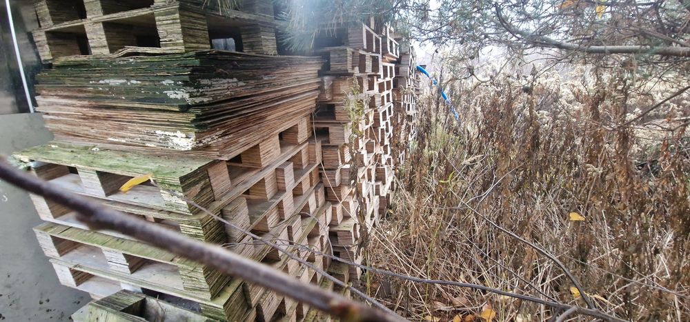 Oddam palety ze sklejki 80x80