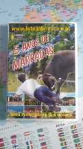 DVD 5 anos de marradas tourada corda Ilha Terceira
