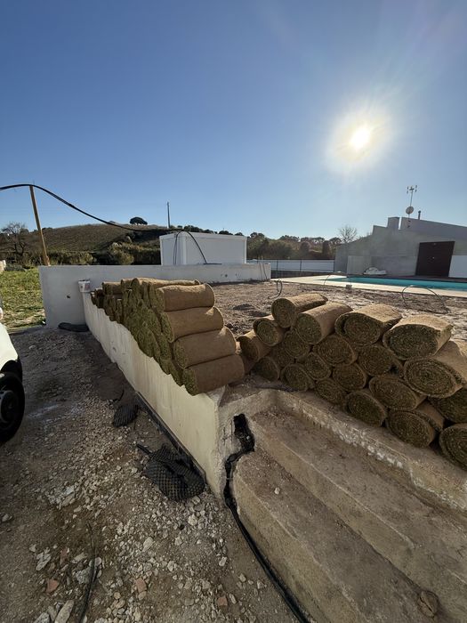 Relva natural em tapete