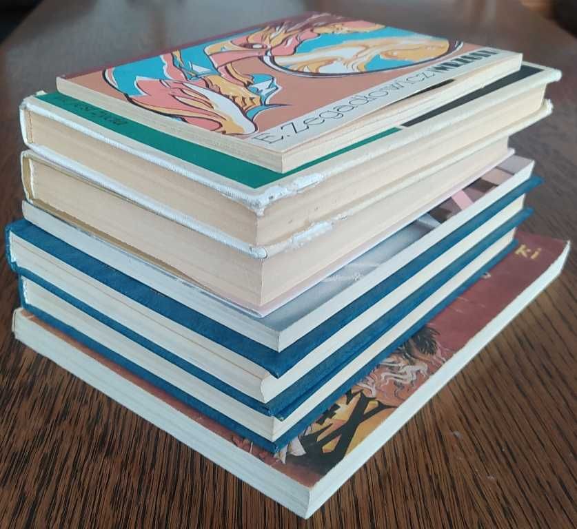 TANIA KSIĄŻKA  literatura polska Bratny Dąbrowska Sienkiewicz