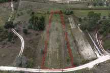 Terreno  para venda