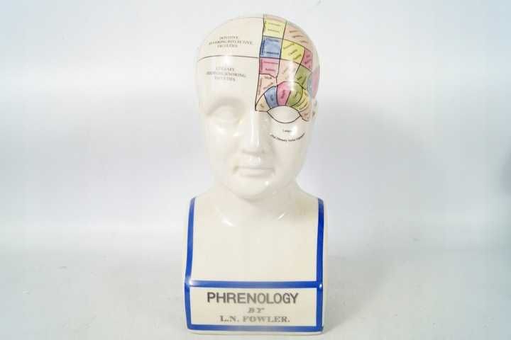 Porcelanowa Głowa Medyczna PHERNOLOGY mapa głowy  2