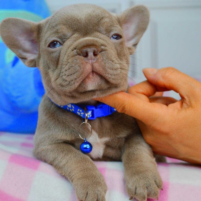 Неймовірні малюки у пошуках люблячих родин!