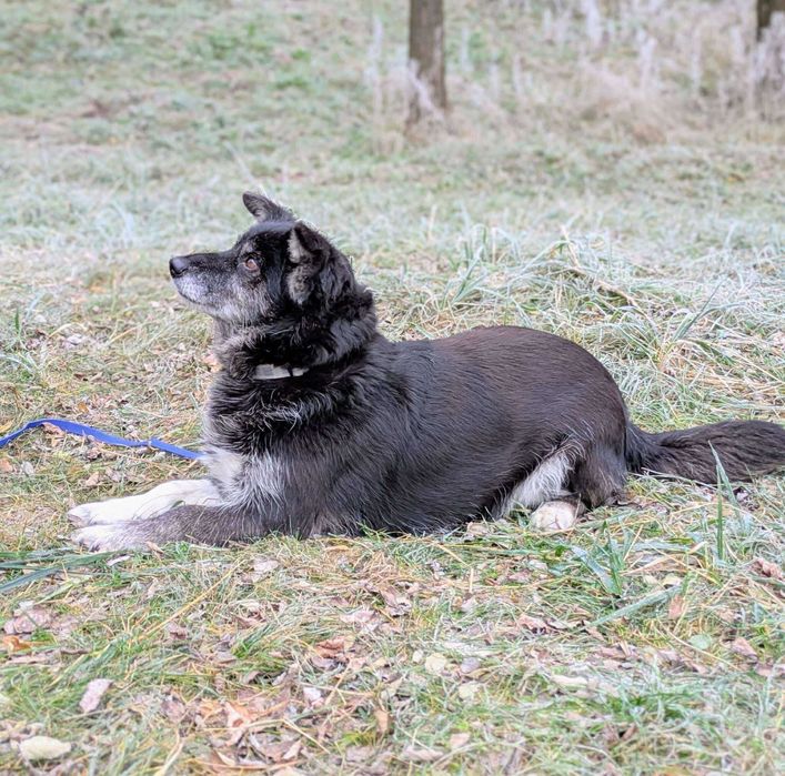 Manga- może los się do niej uśmiechnie