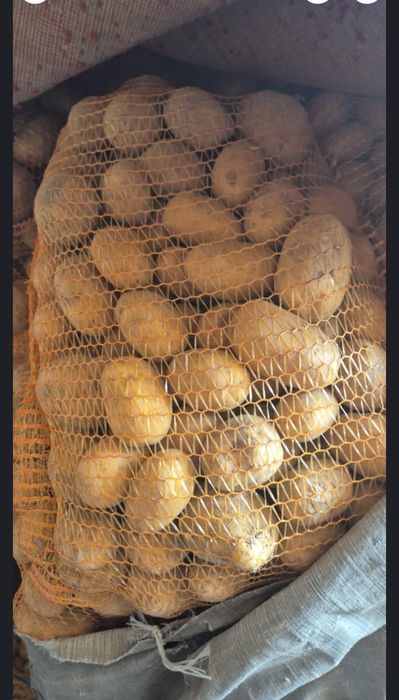 Sprzedam ziemniaki jadalne i male