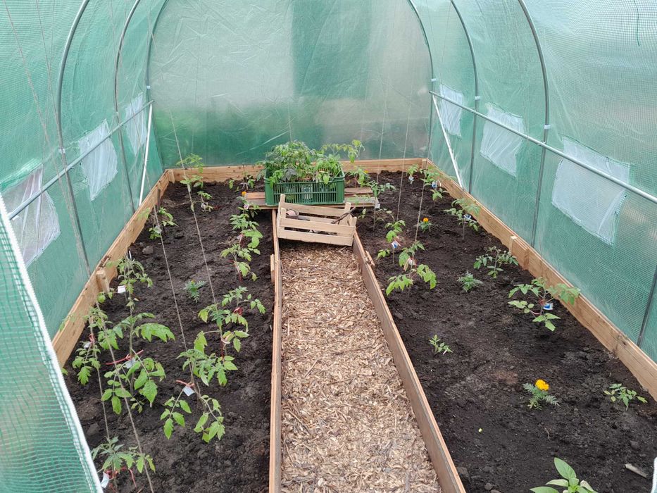 Działka ROD Swoboda Toruń