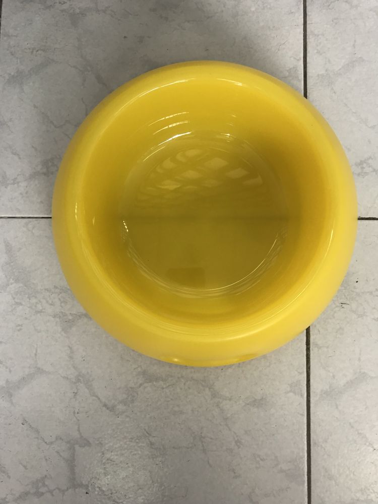 Comedouro/ Bebedouro para cão