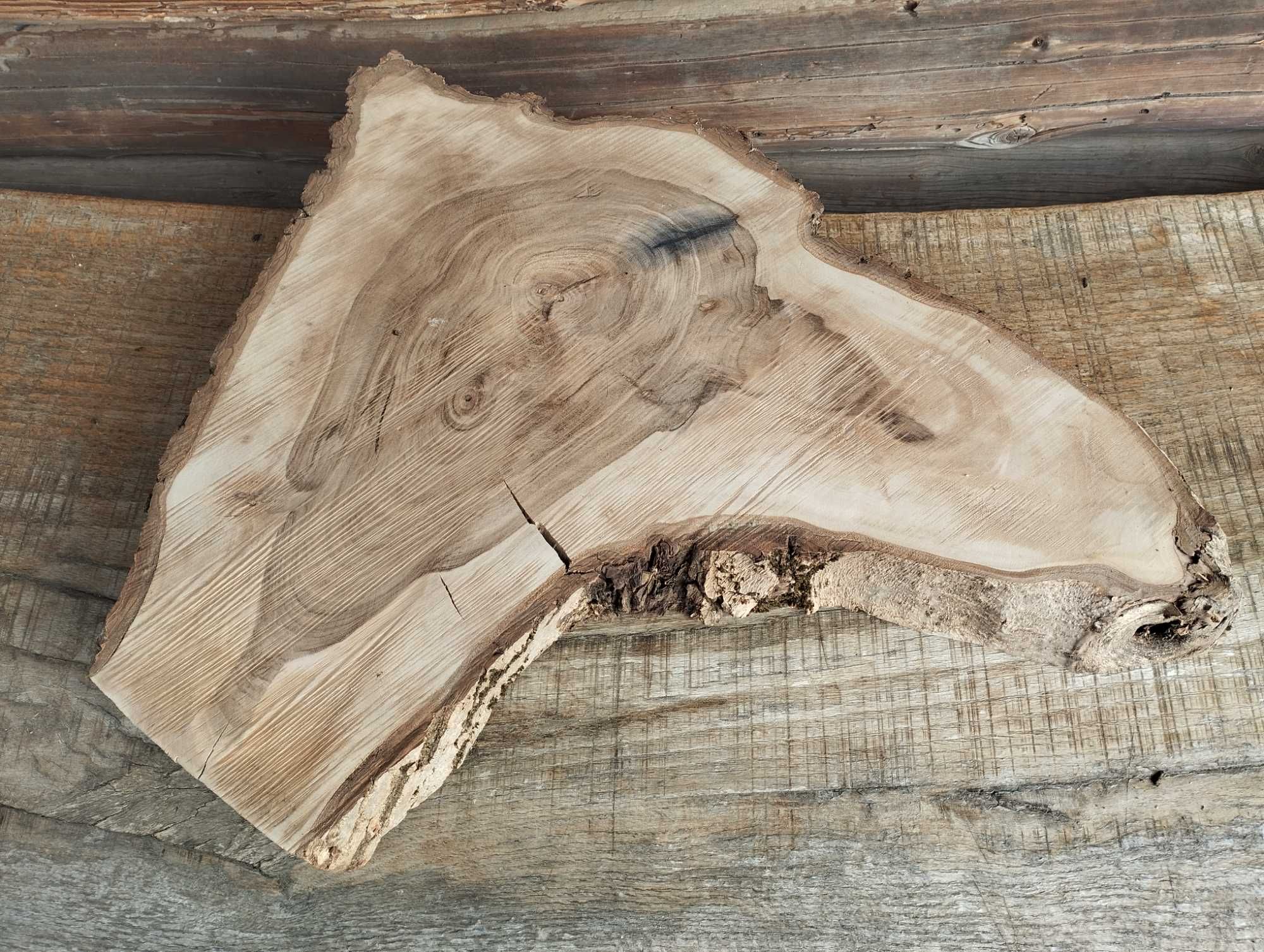 Plaster drewna duży Korzeń Piękny Solidny Orzech DIY Wybór sztuki HIT